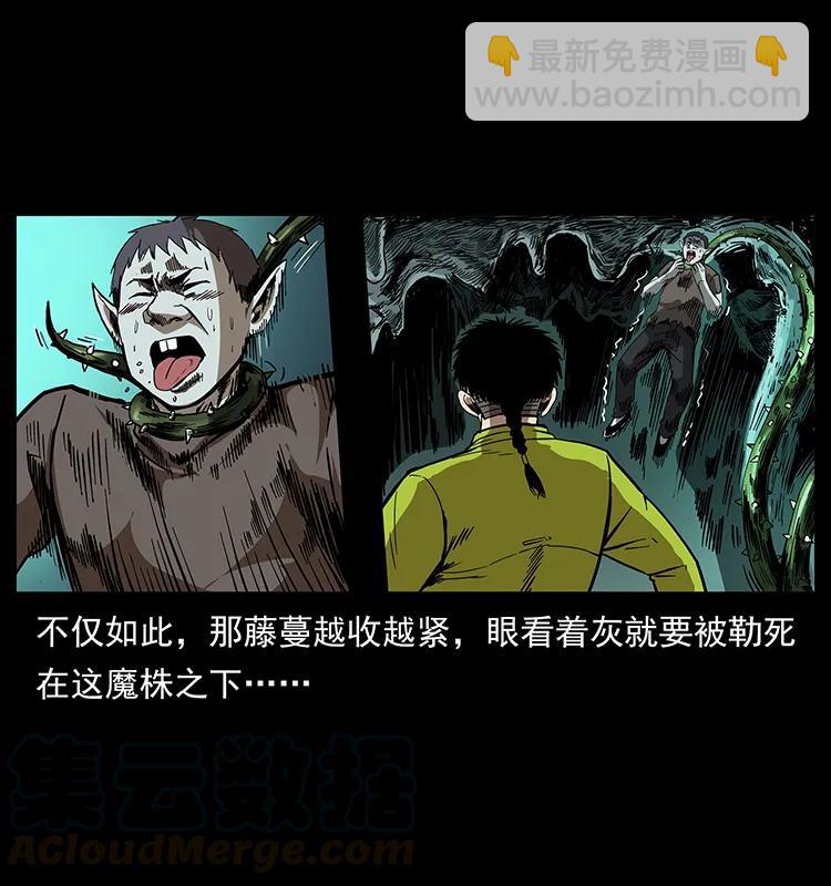 193 草蛊婆24