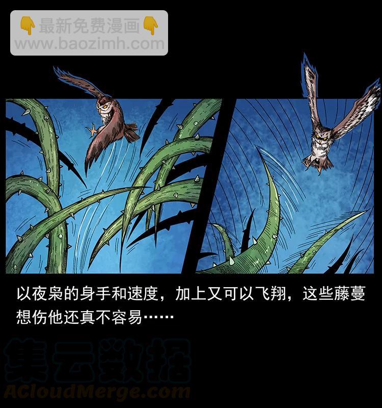 193 草蛊婆60