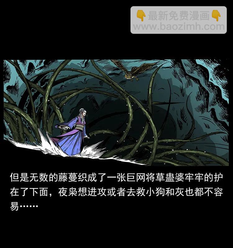 193 草蛊婆61