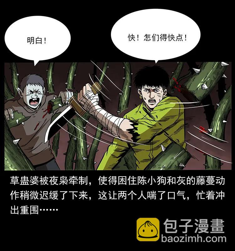 193 草蛊婆62