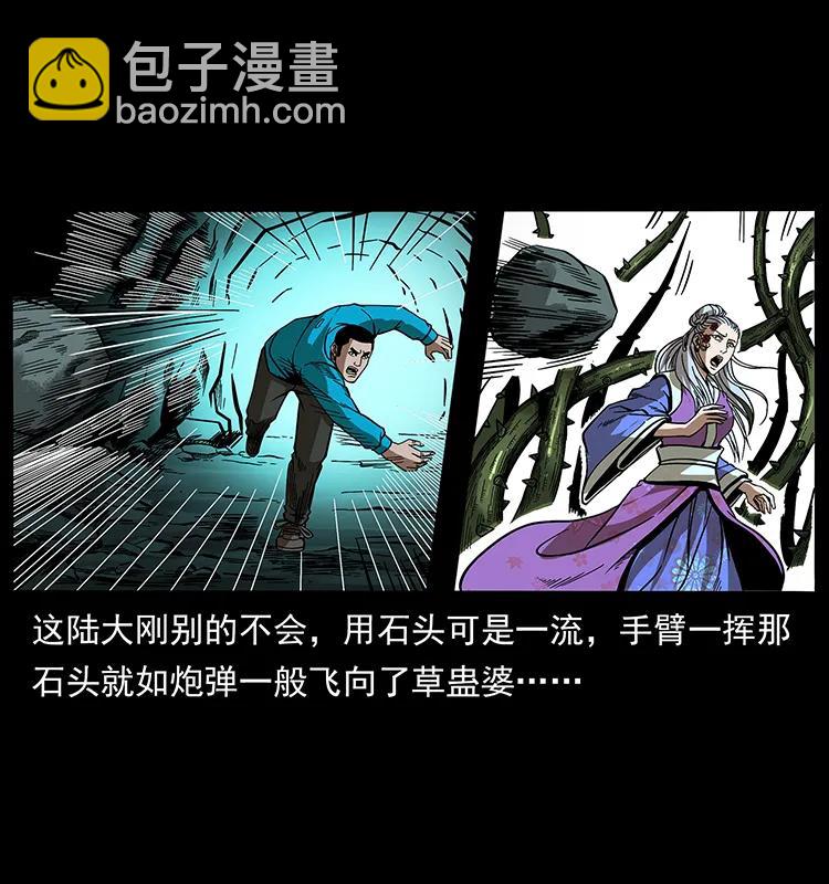 193 草蛊婆67
