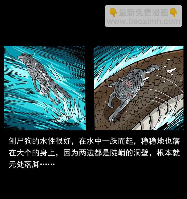203 命丧龙洞43
