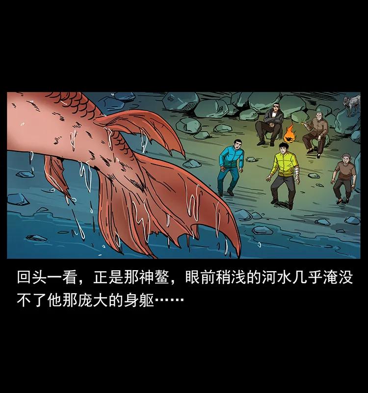 204 回家！13