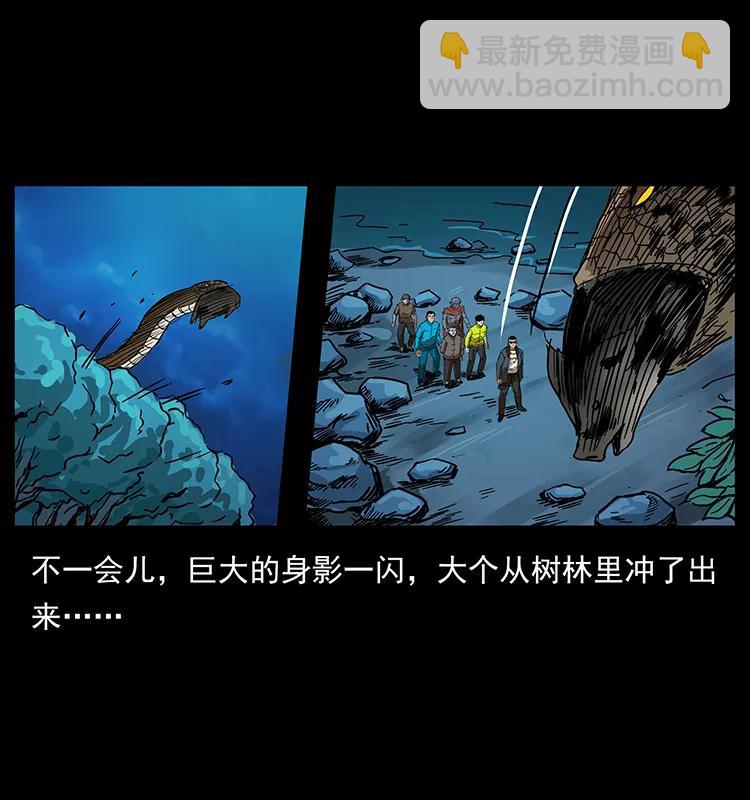 204 回家！34