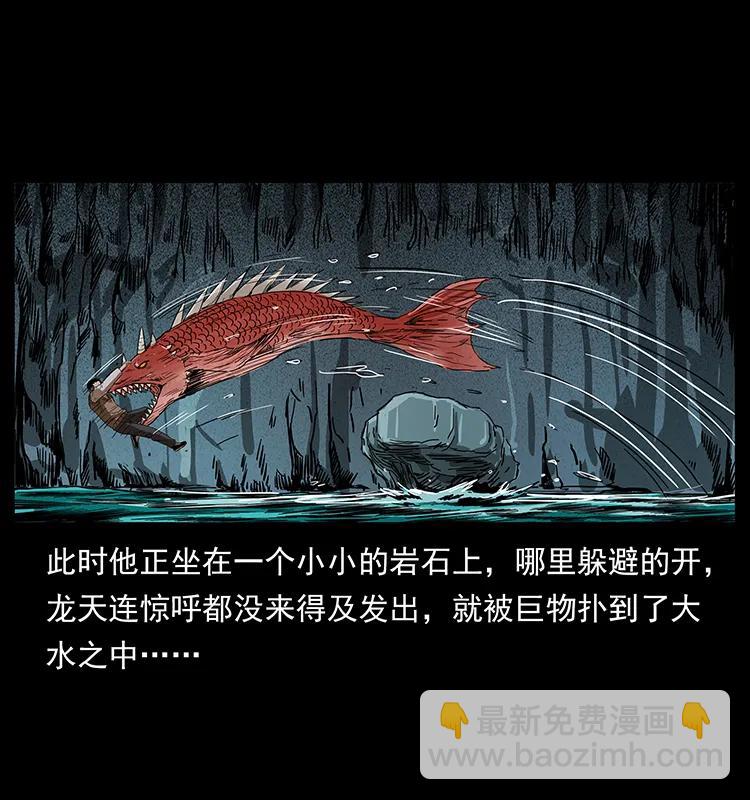 204 回家！59