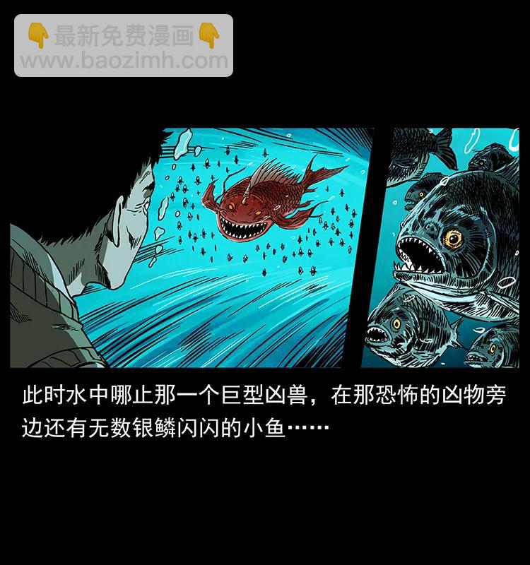 204 回家！62
