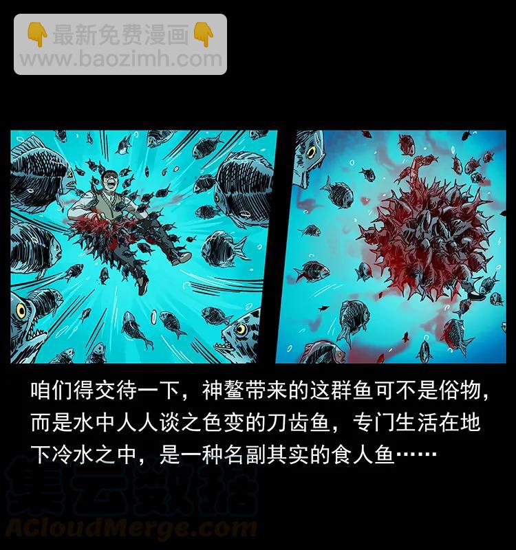 204 回家！64