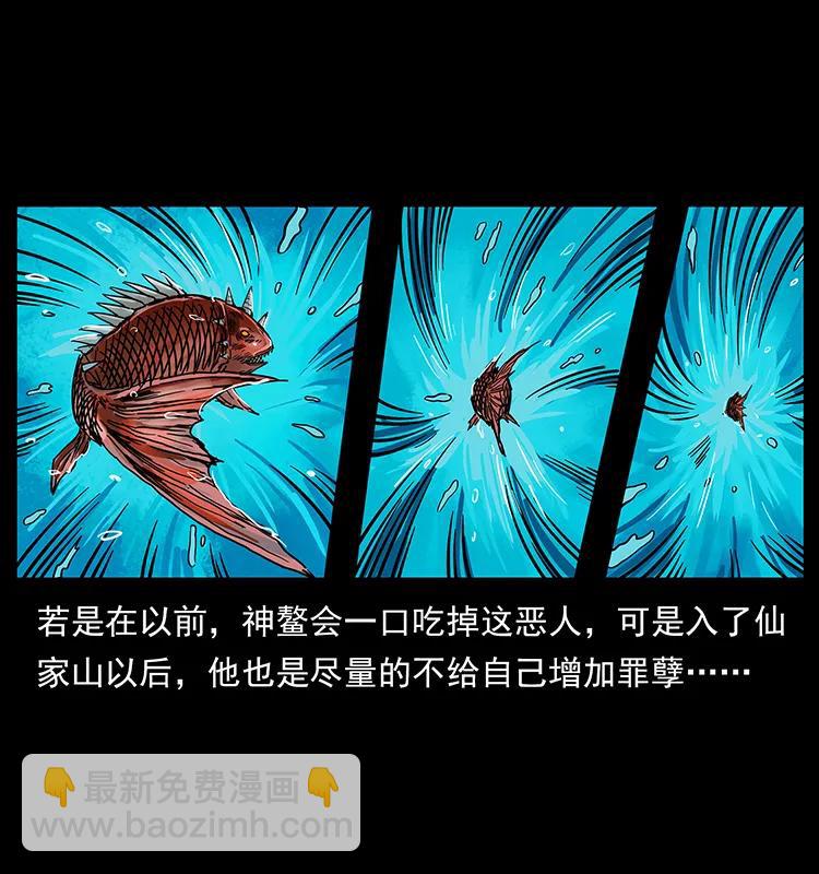 204 回家！66
