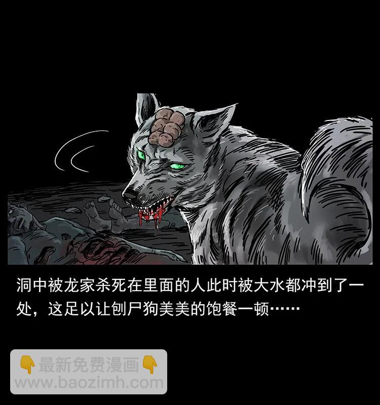 204 回家！74