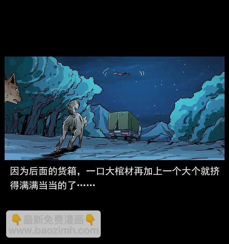 204 回家！95
