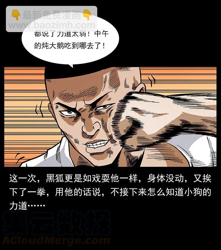 206 不断成长的陈小狗24