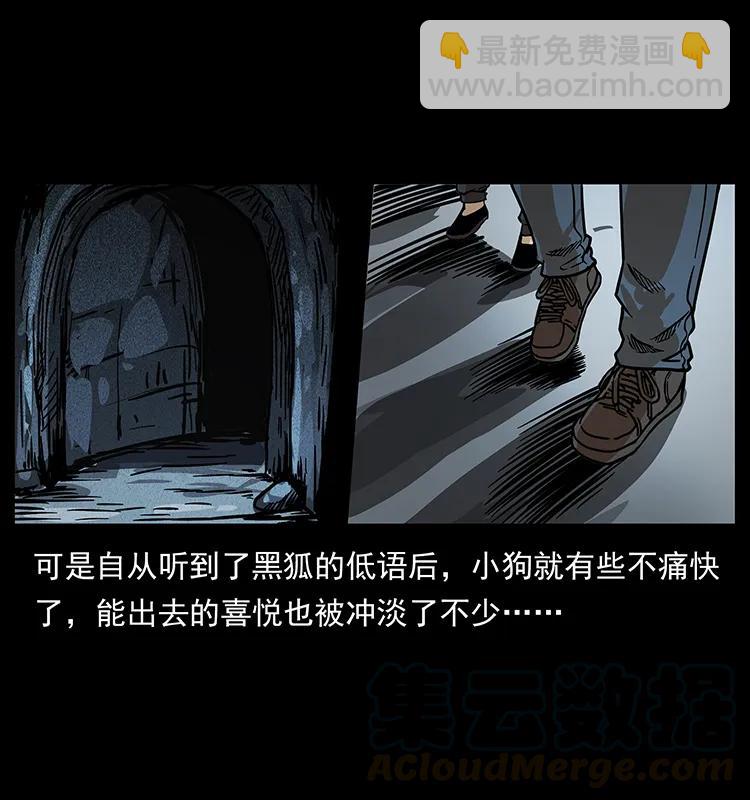206 不断成长的陈小狗52