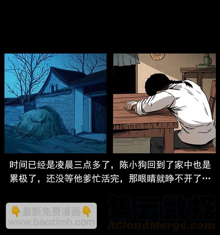 206 不断成长的陈小狗56