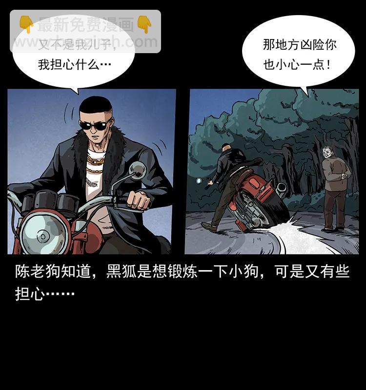 211 三代人的一座墓85
