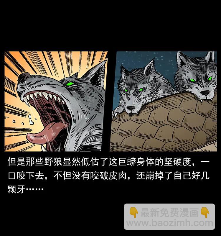 212 草原深处38