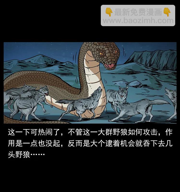 212 草原深处41