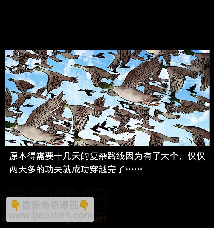 212 草原深处72