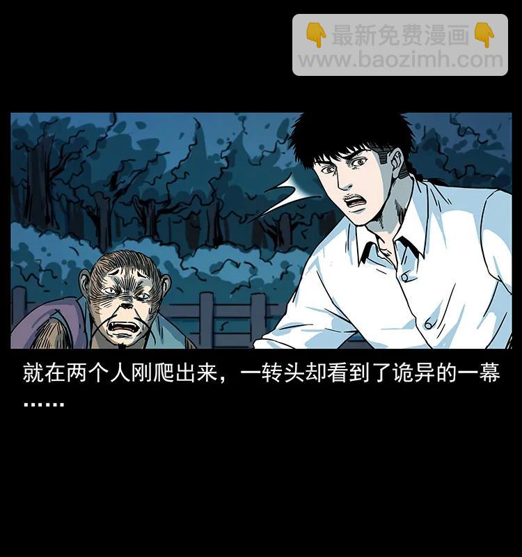 227 猴脑33