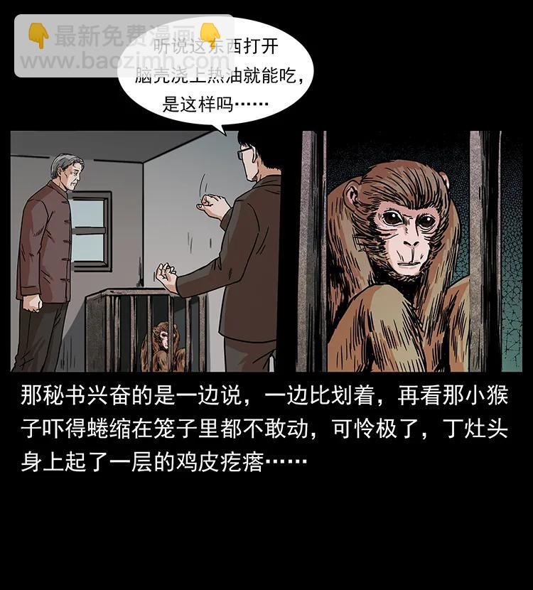 227 猴脑71