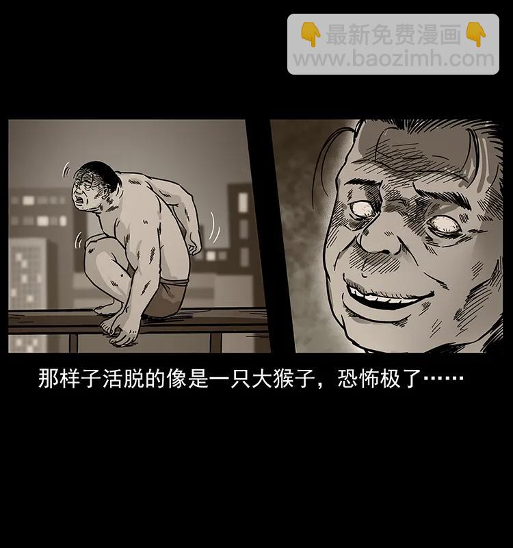 227 猴脑87