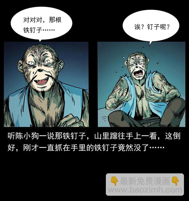227 猴脑9
