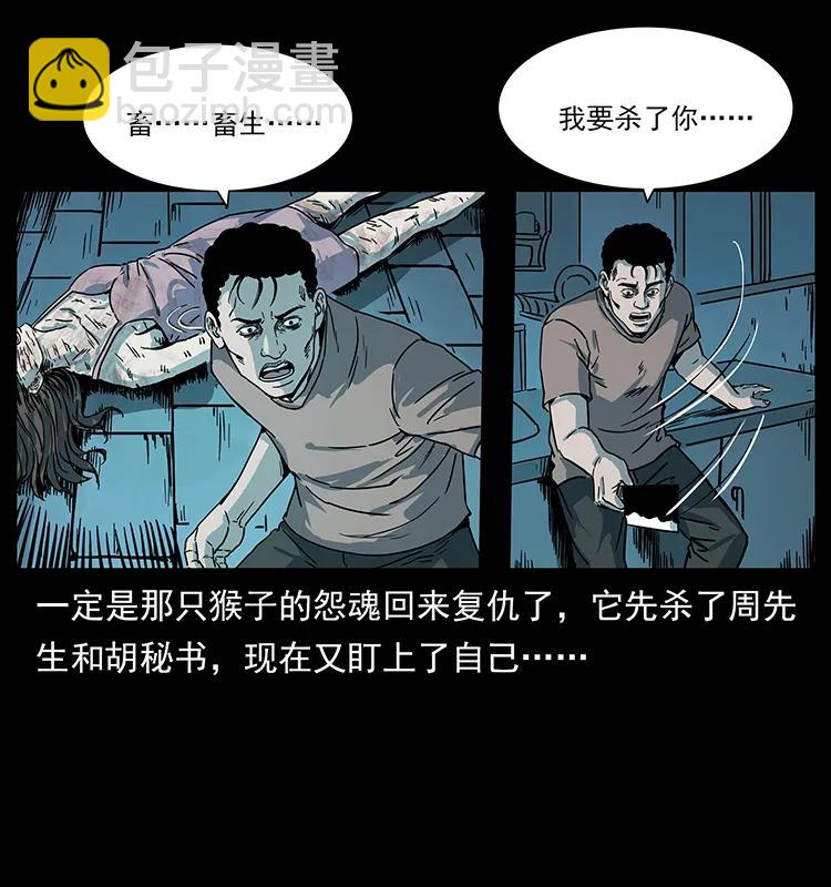 228 凶兽41