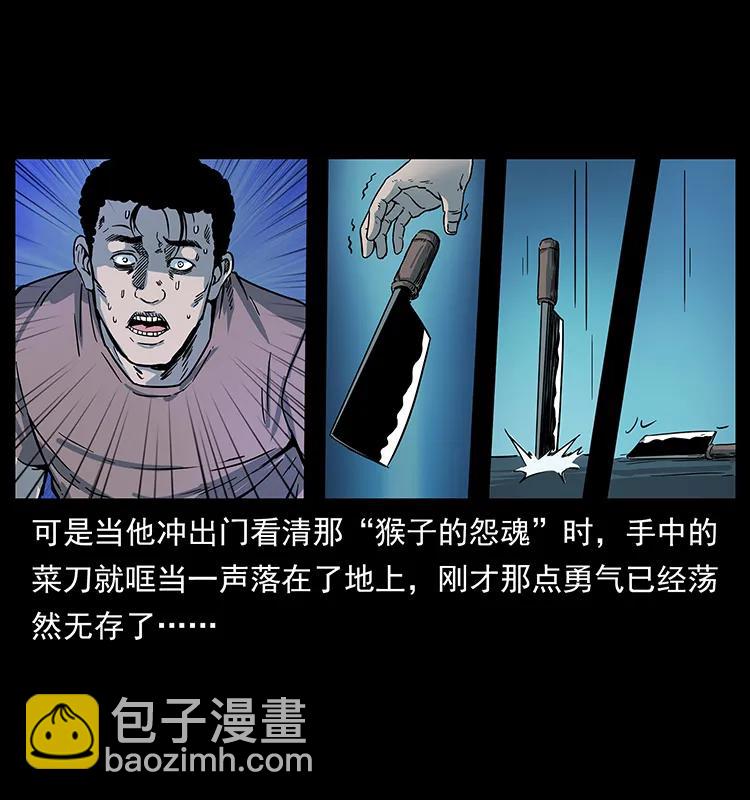 228 凶兽43