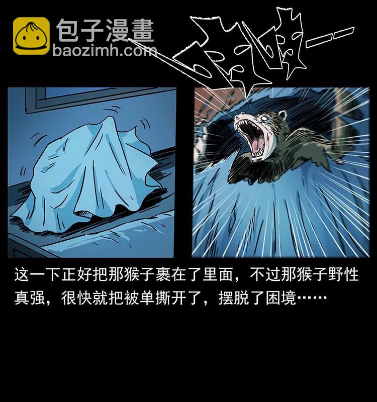 228 凶兽71