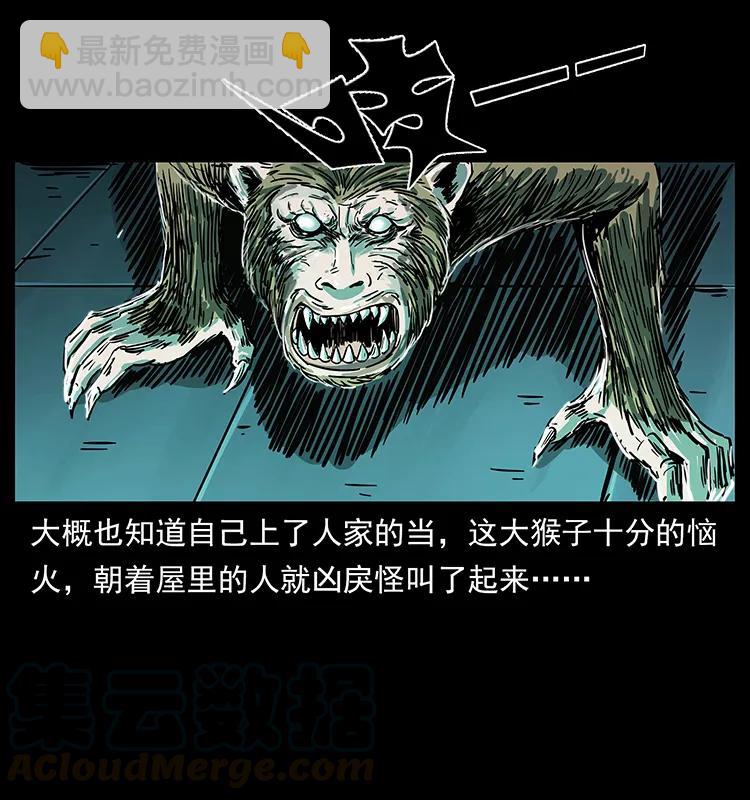 228 凶兽72