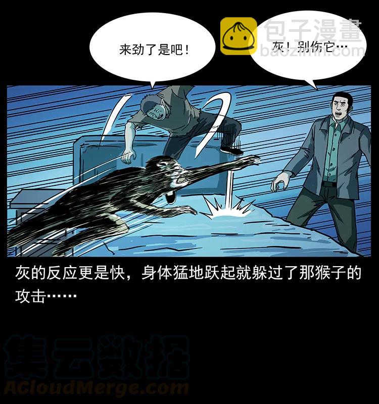 228 凶兽76
