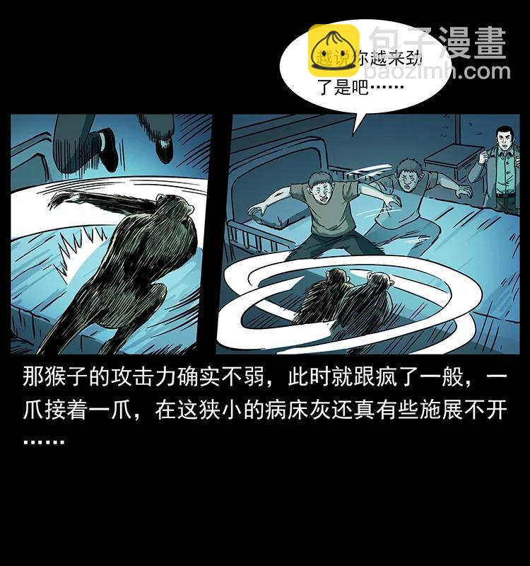 228 凶兽77