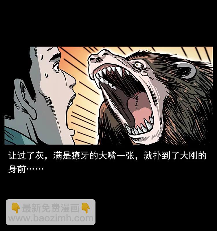 228 凶兽79