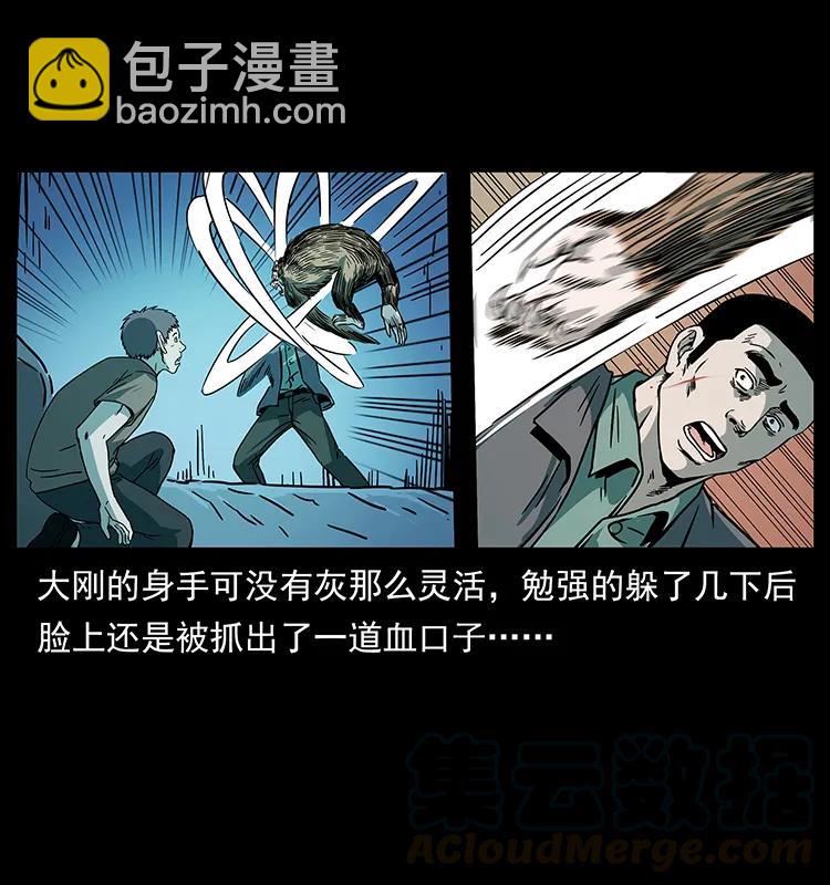 228 凶兽80