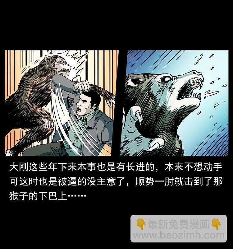 228 凶兽81