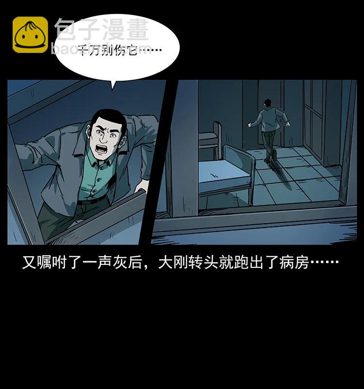 228 凶兽87