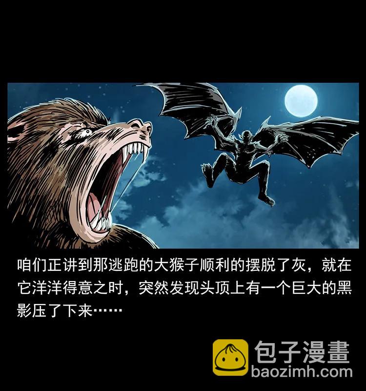 229 东海龙骨1