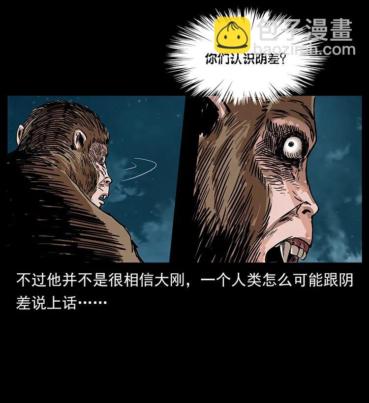 229 东海龙骨19