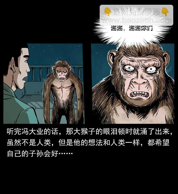 229 东海龙骨23