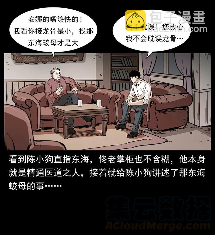 229 东海龙骨48