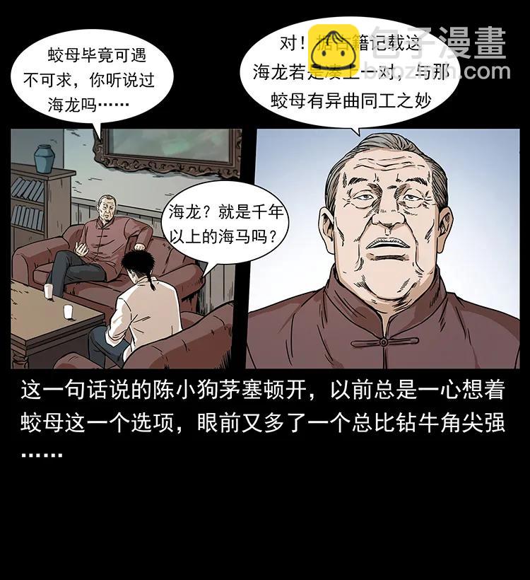 229 东海龙骨49