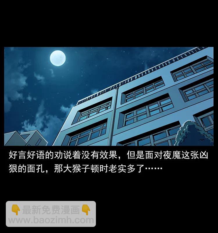 229 东海龙骨5