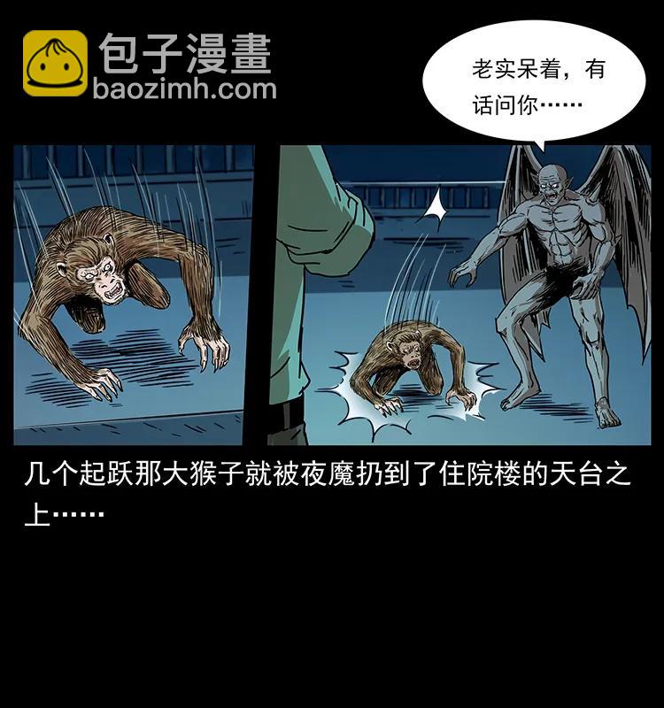 229 东海龙骨6