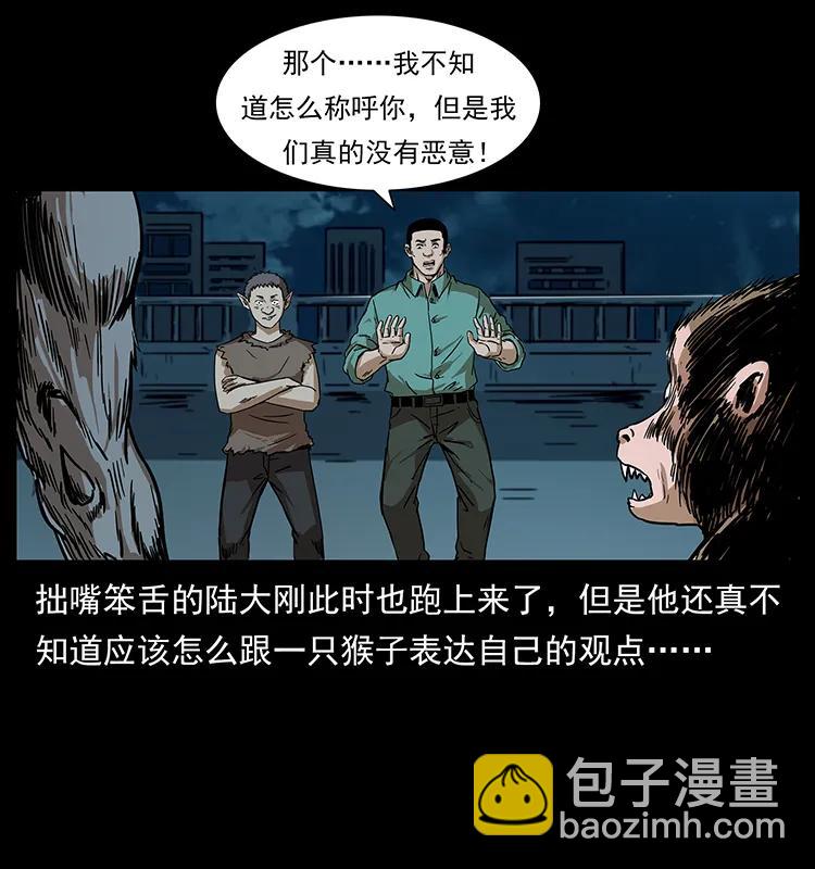 229 东海龙骨7