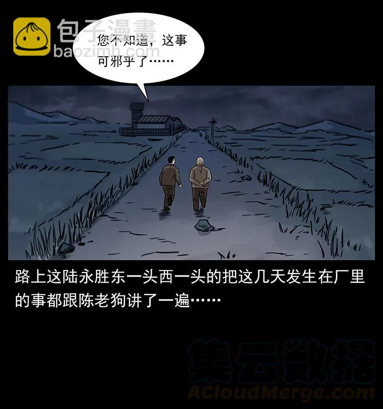 230 生桩16