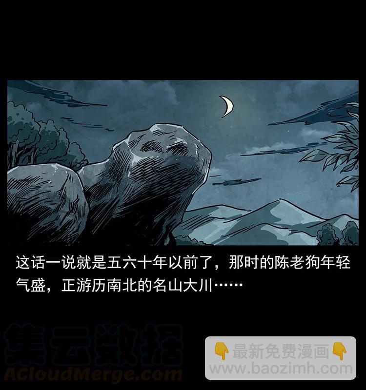 231 东海木龙12