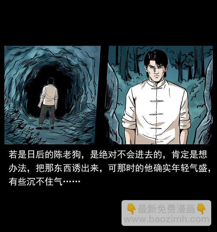 231 东海木龙18
