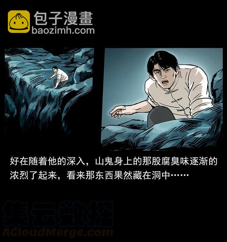 231 东海木龙20