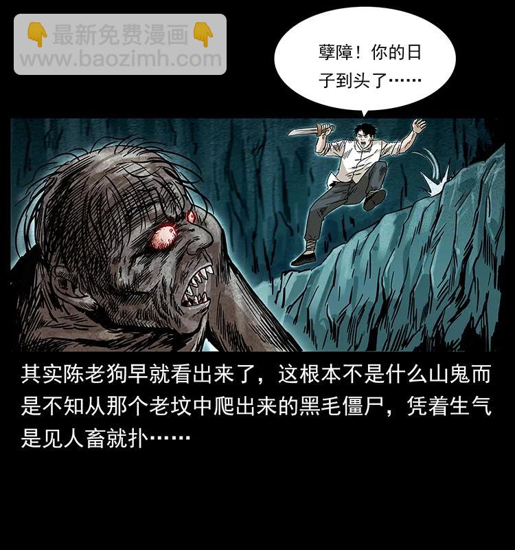 231 东海木龙22