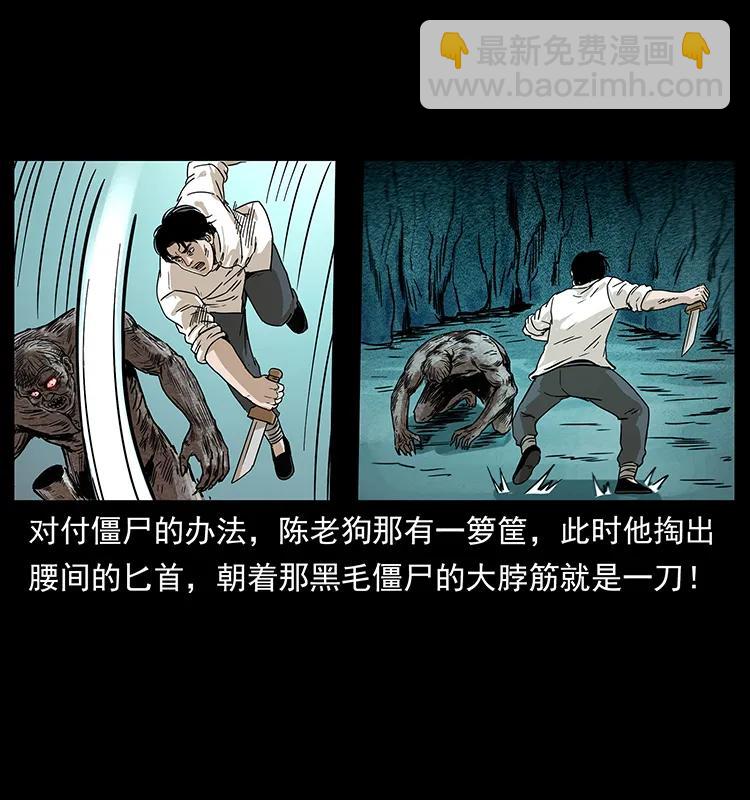 231 东海木龙23