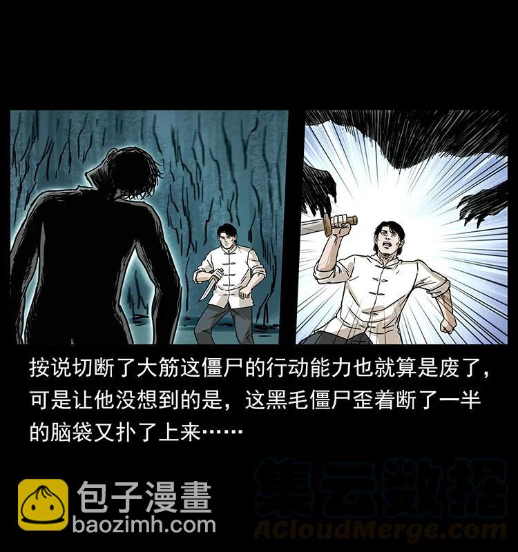 231 东海木龙24